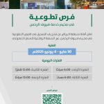 محليات السعودية: 8 ملايين نخلة تفتح آفاقًا استثمارية في قطاع إنتاج وتصدير التمور وصناعاتها التحويلية في المدينة المنورة